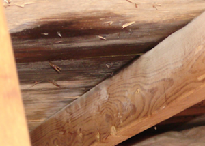 Fuites dans le grenier