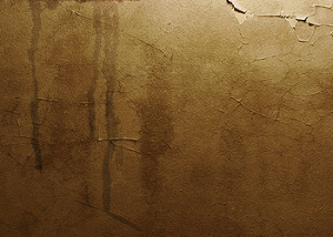 Taches sur les plafonds