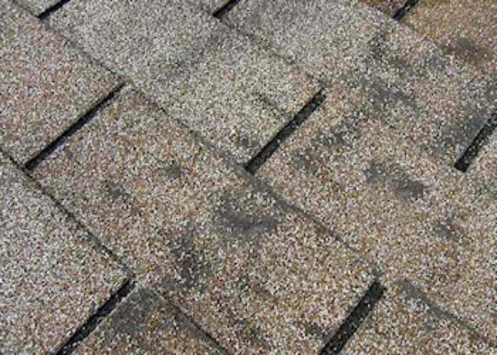 Damaged shingles